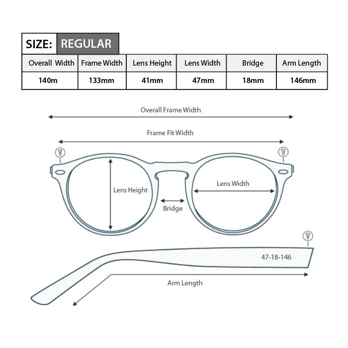Polarised Bifocal Sunglasses BS05