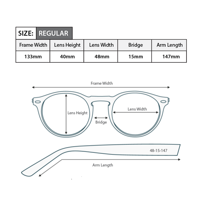 Polarised Bifocal Sunglasses BS06