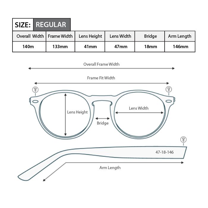 Polarised Bifocal Sunglasses BS06