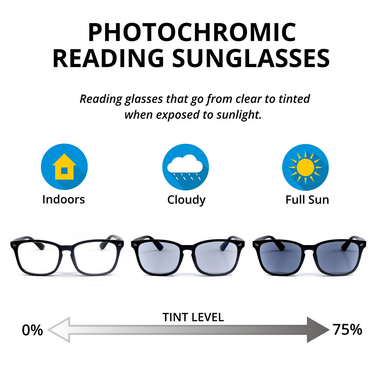 Multi-Focal Photochromic Sunglasses PBS03